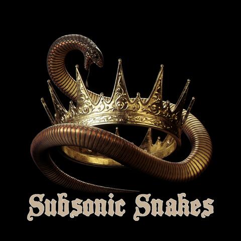 Subsonic Snakes