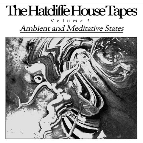 Vol 5. Ambient and Meditative States