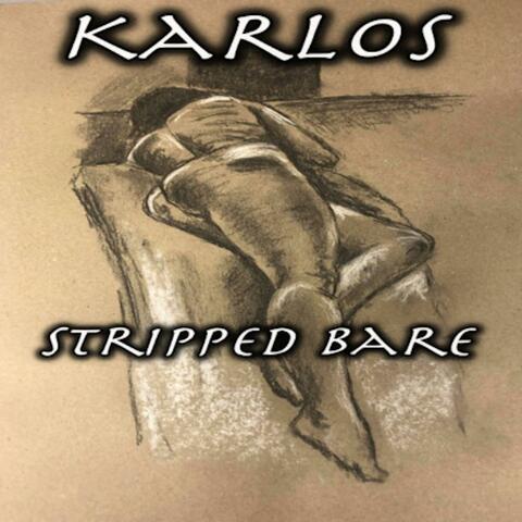 Stripped Bare
