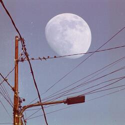 The Moon Song