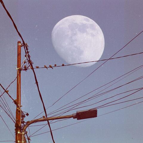 The Moon Song