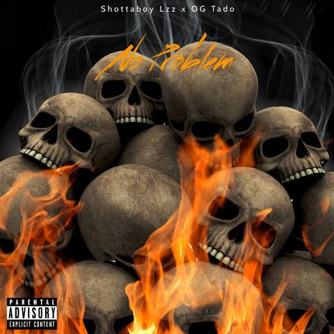 No Problem (feat. Shottaboy lzz)