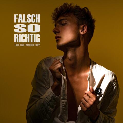 Falsch so richtig (feat. TakeTwo)