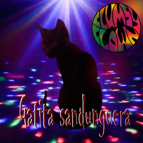 Gatita sandunguera