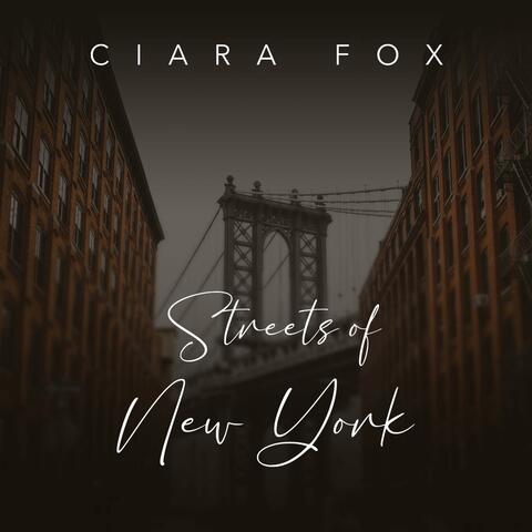 Streets of New York