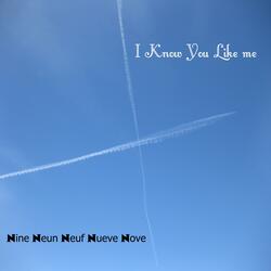 I Know You Like me