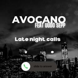 Late Night Calls (feat. Uudo Sepp)