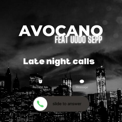 Late Night Calls (feat. Uudo Sepp)