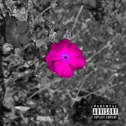 Off The Fence (feat. Tyler Hustle & Fids)