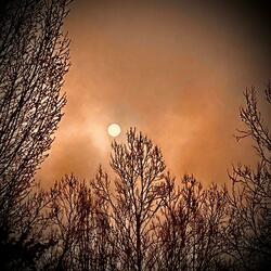Up With the Fire