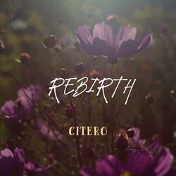 Rebirth