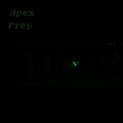 Apex Prey