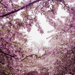 Everything I Wanted (feat. Madeline Follin)