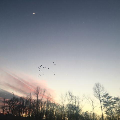 A Fond Farewell (feat. Curtis Cooper)