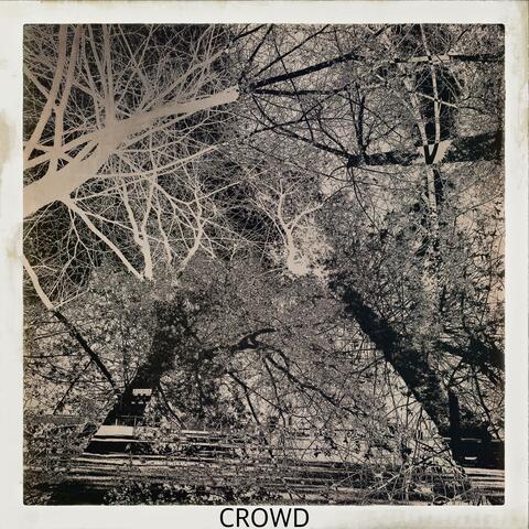 Crowd I
