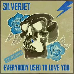 Everybody Used To Love You