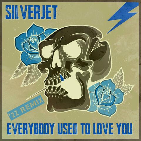 Everybody Used To Love You ('22 REMIX)