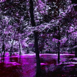 Quasars, Pulsars and Black Holes