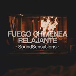 Fuego Chimenea Relajante