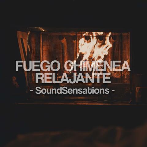 Fuego Chimenea Relajante
