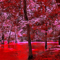 I Let Go My Consious Self