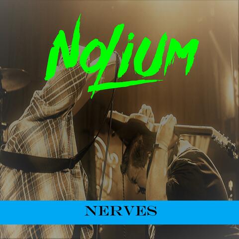 Nerves