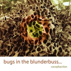 Bugs In The Blunderbuss