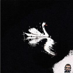 Swan Lake (Black Swan)