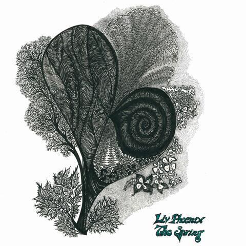 The Spring