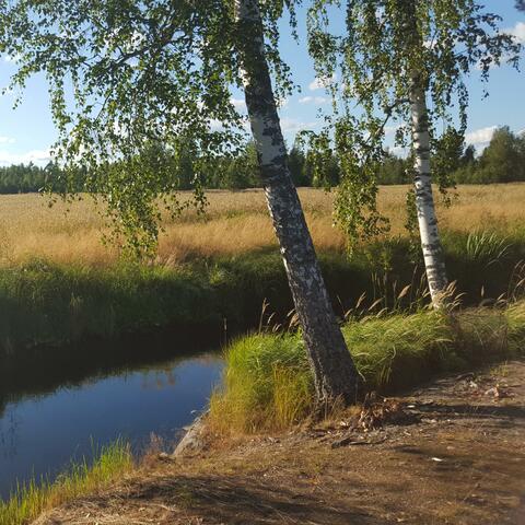EN MITÄÄ MUUTA