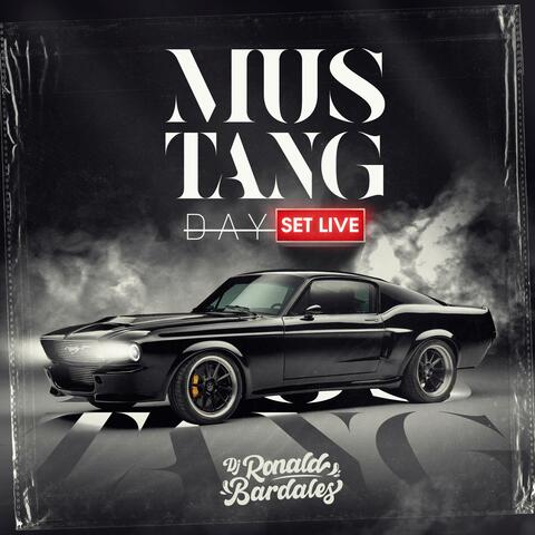 Mustang Day (Set Live) (Live)