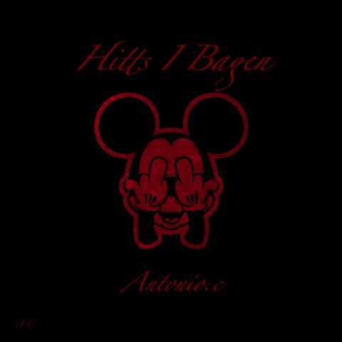 Hits i bagen