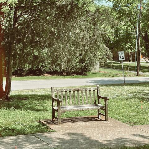 Great, Another Indie Game About Depression (The Bench Album)