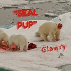 Seal Pup