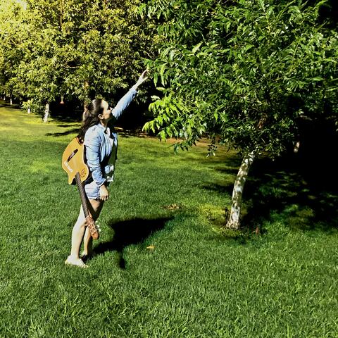 El arbol