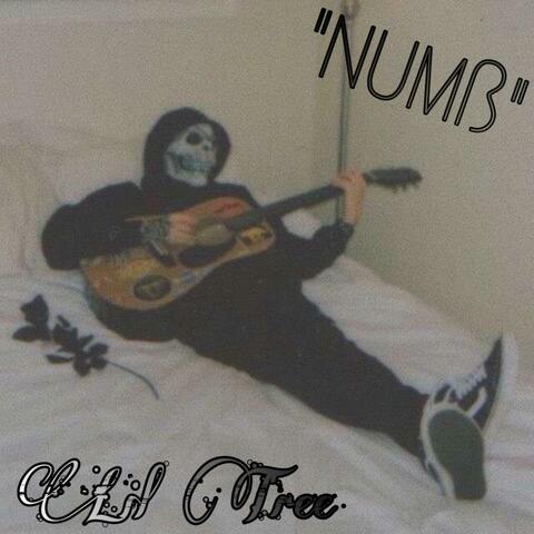 NUMß