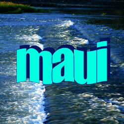 Maui (feat. readyaimfire27)