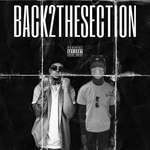 BACK 2 THE SECTION