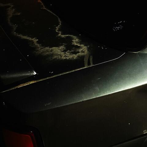 Essential Dark (Extended)