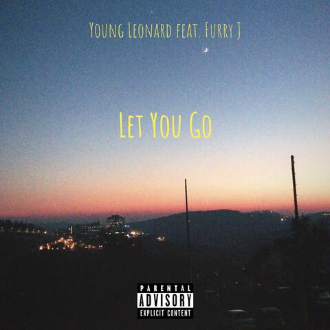 Let You Go (feat. Furry J)