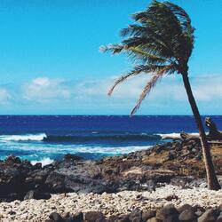 Beach Blues