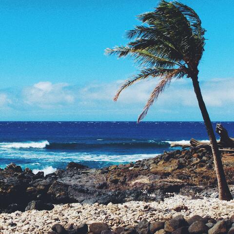 Beach Blues