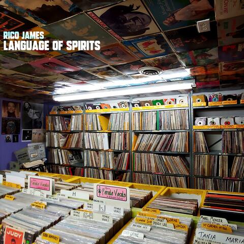 Language of Spirits