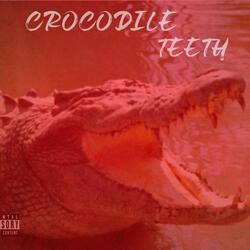 Crococdile Teeth