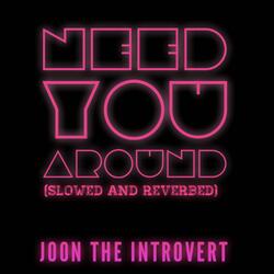Need You Around