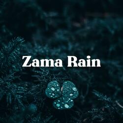 Sleepy Umbrella Rain