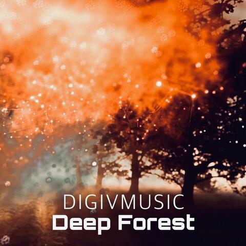 Deep Forest