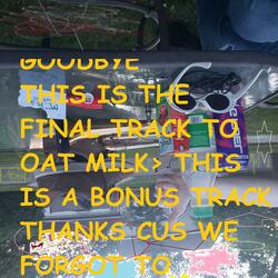 Goodbye but real this time (final track on OAT MILK) "bonus track"