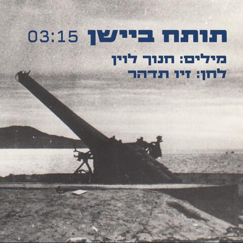 פגשתי תותח ביישן