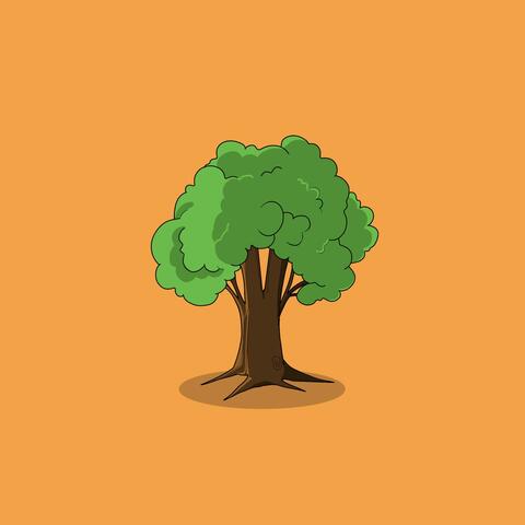 Oak